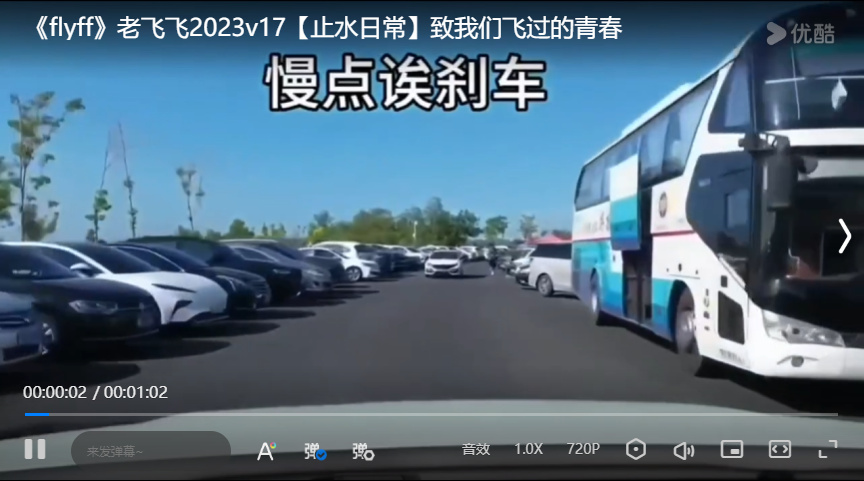 老飞飞2023v17【止水日常】致我们飞过的青春